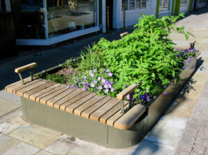 local oak public bench
