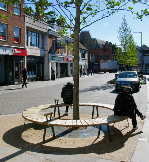 local oak public bench